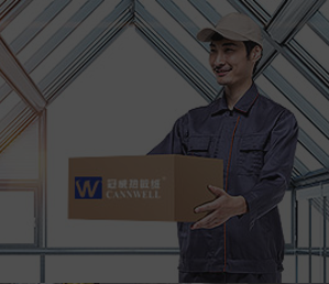 猫咪黄色网站物流送货上门
