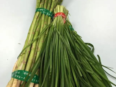 猫咪成人网站带绑蔬菜