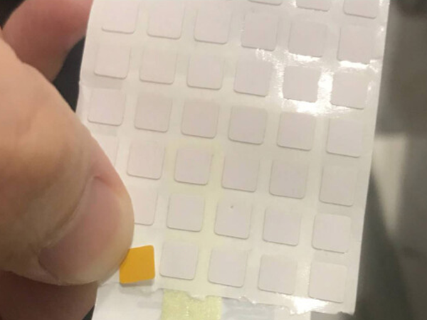 耐高温猫咪成人网站