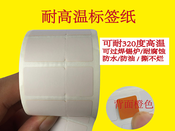 耐高温猫咪成人网站